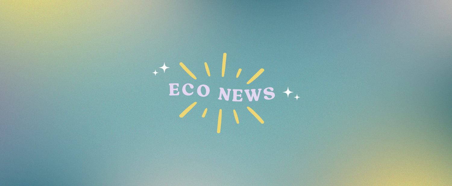 Happy Eco News: February