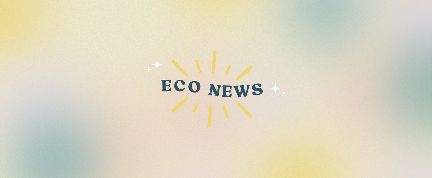 Happy Eco News November 2022