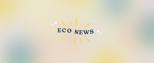 Happy Eco News November 2022