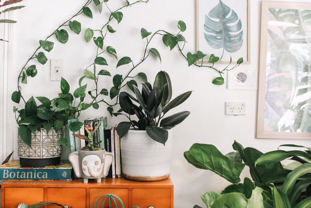 2021’s Sustainable Trends that Everyone Can Follow