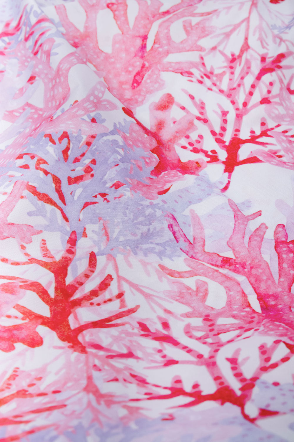 Coral | Medium (Voxi)